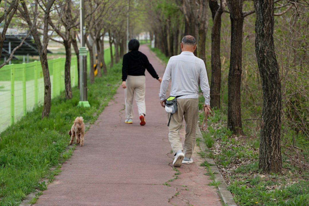 散歩で運動不足を解消する犬と飼い主