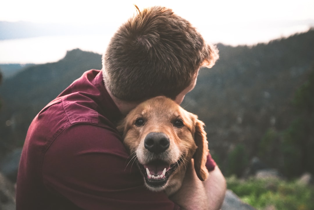 成功をほめられて喜ぶ犬と飼い主