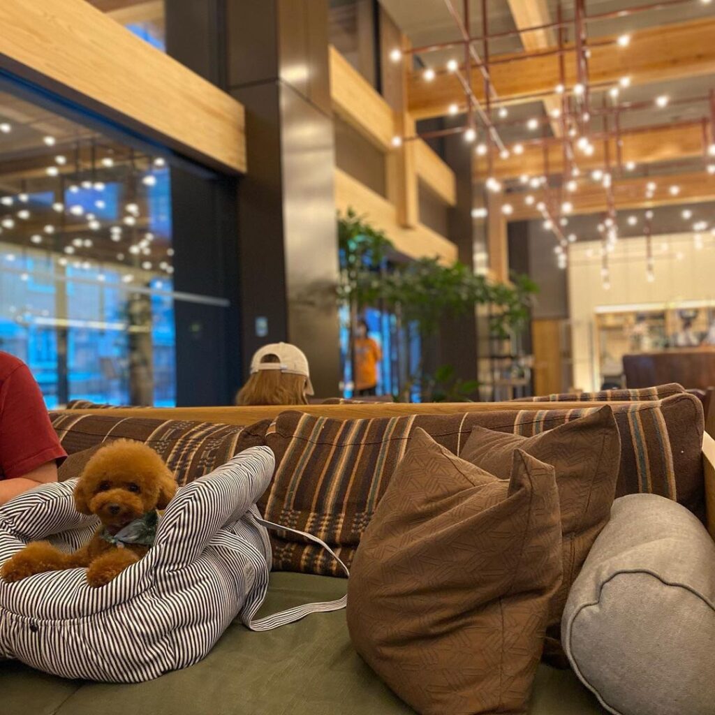 ペット可ACEホテルロビーで愛犬とカフェ